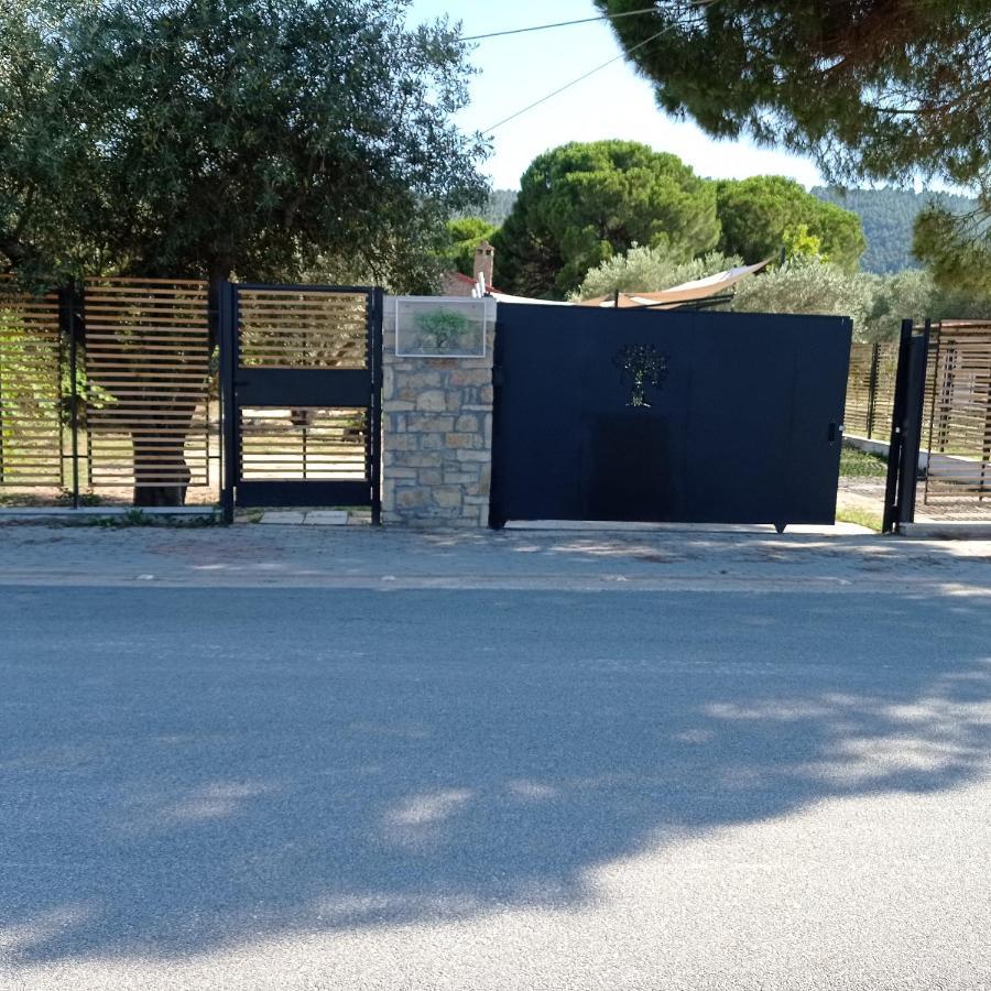 Villa Elea فوروفورو المظهر الخارجي الصورة