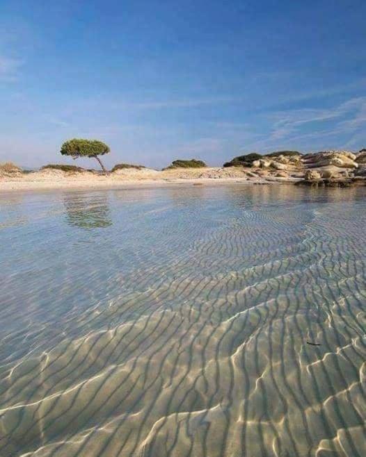 Villa Elea فوروفورو المظهر الخارجي الصورة